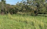Terrain à vendre à Bouxieres aux chenes