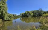 Terrain à vendre à Martigne sur mayenne