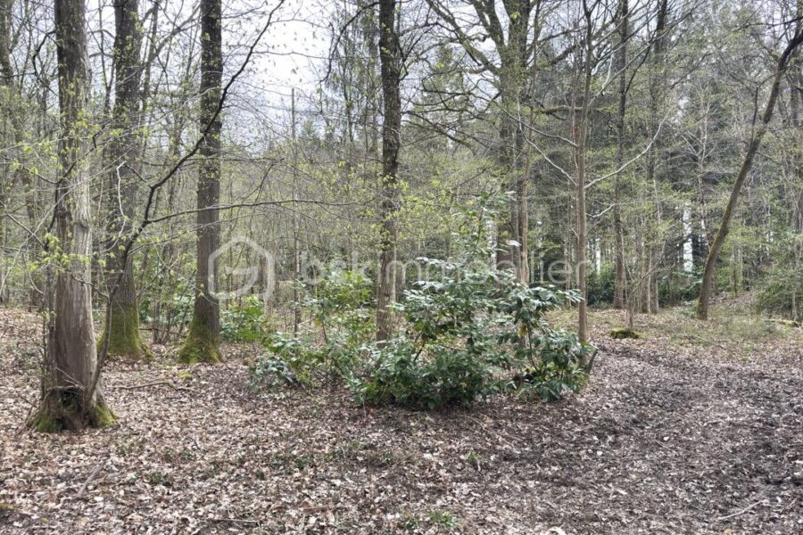 Terrain à vendre à La ferte sous jouarre