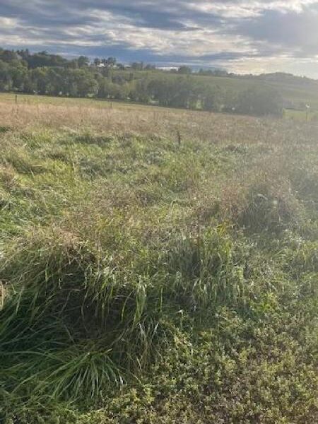 Terrain à vendre à Moncel sur seille