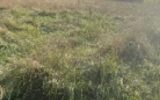 Terrain à vendre à Moncel sur seille