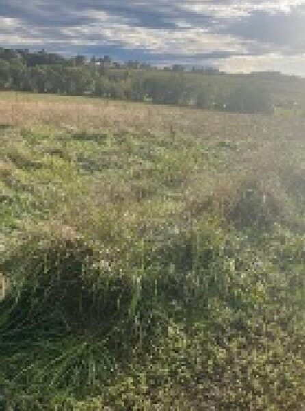 Terrain à vendre à Moncel sur seille