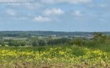 Terrain à vendre à Haraucourt