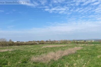 Terrain à vendre à Haraucourt