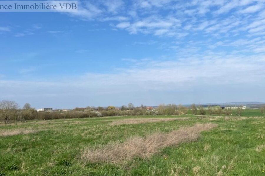 Terrain à vendre à Haraucourt