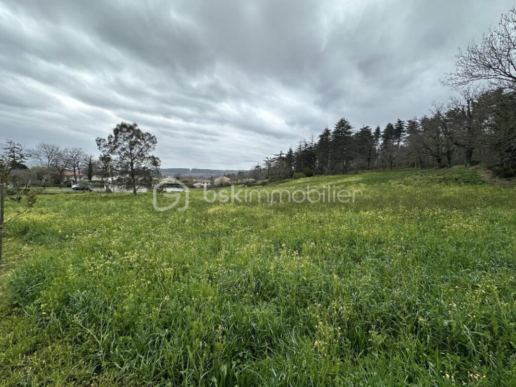 🏡 Terrain constructible avec projet de maison – cadre exceptionnel – NR pièces – NR chambres – 3200 m²