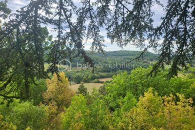 CHATEAU 32 PIECES+DEPENDANCES – PROPRIETE 9 HECTARES – NR pièces – 4 chambres – 919 m²