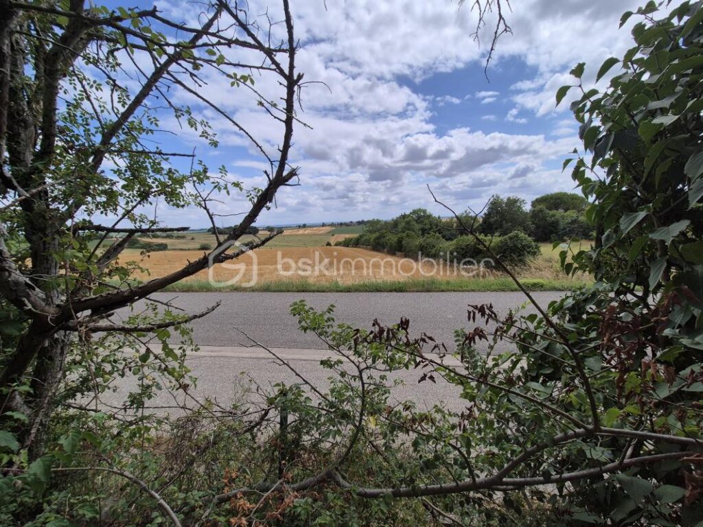 Terrain constructible vue Pyrénées – NR pièces – NR chambres – 5838 m²