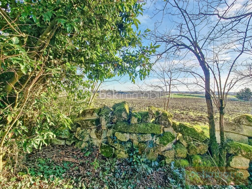 Petit prix mais GRAND potentiel pour cette ferme gasconne à rénover – 5 pièces – 4 chambres – 114 m²