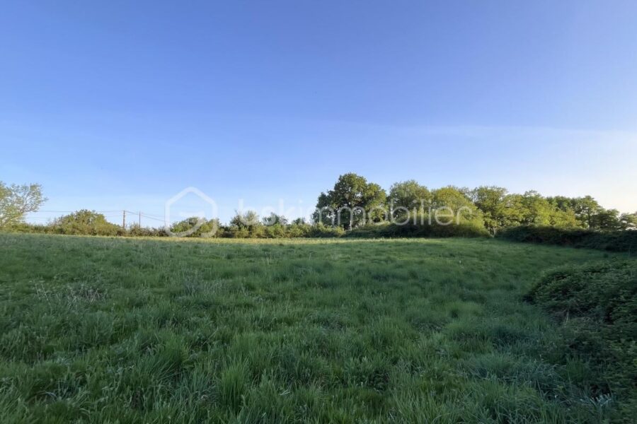 Terrain à vendre à Chatres