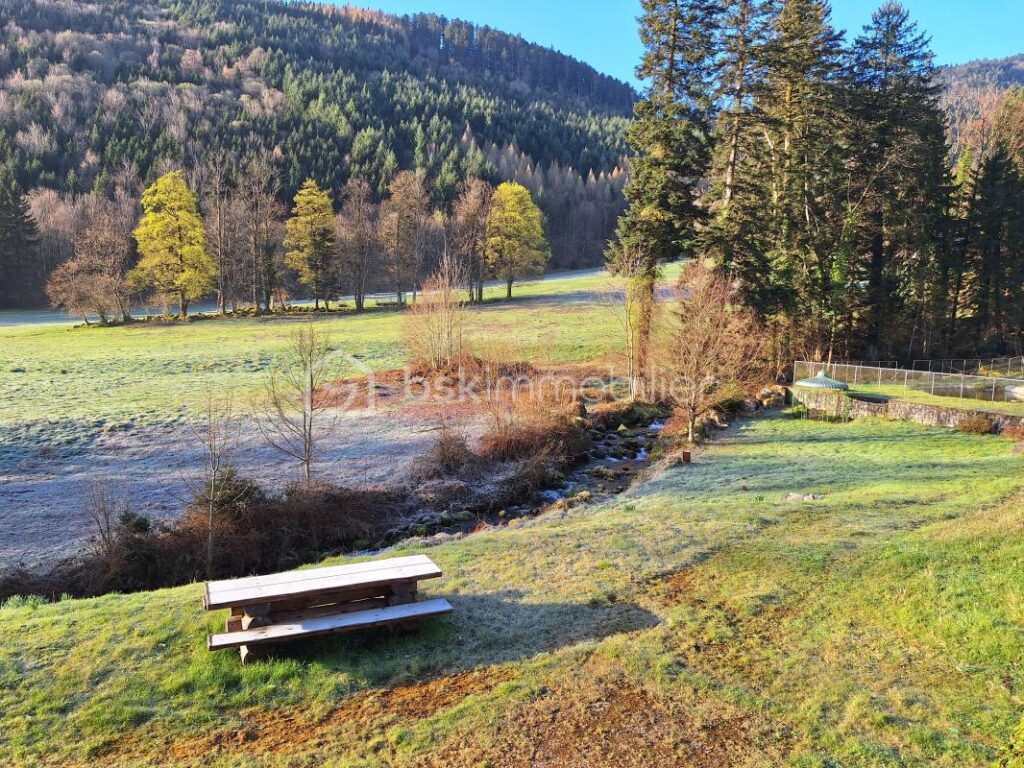 DEMEURE DE PRESTIGE A STOSSWIHR 2.392.000 EUROS – 7 pièces – 4 chambres – 390 m²