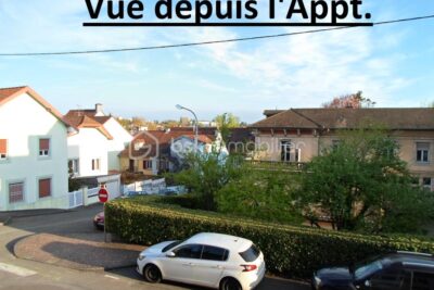 MONTBÉLIARD, AU CALME, A 2 PAS DU CENTRE VILLE DANS SECTEUR RECHERCHÉ, BEL APPARTEMENT TYPE T2 (1 CHAMBRE), CLIMATISÉ ET TOTALEMENT RÉNOVÉ – 2 pièces – 1 chambre – 36 m²