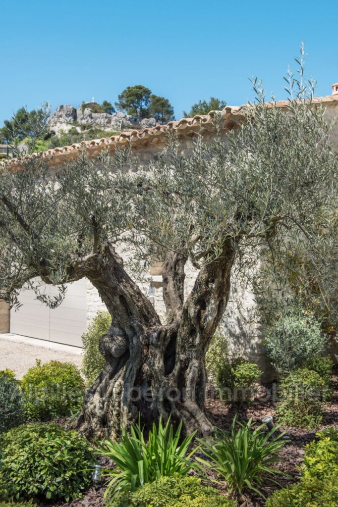 location saisonnière maison de village 5 Pièce(s) – 5 pièces – 3 chambres