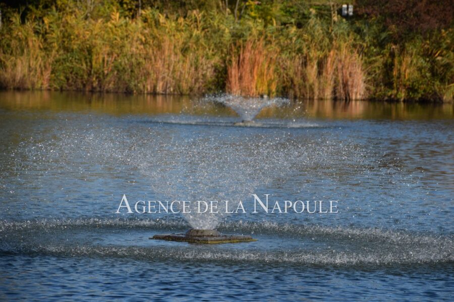 Appartement à vendre à Mandelieu-la-napoule