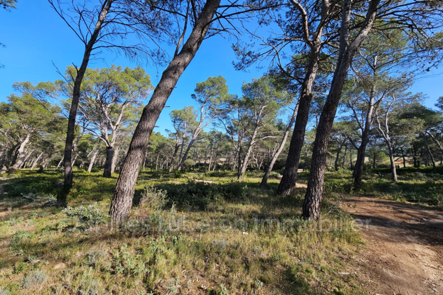 Terrain à vendre à Orgon