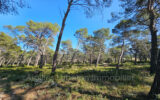 Terrain à vendre à Orgon