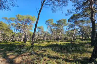 Terrain à vendre à Orgon