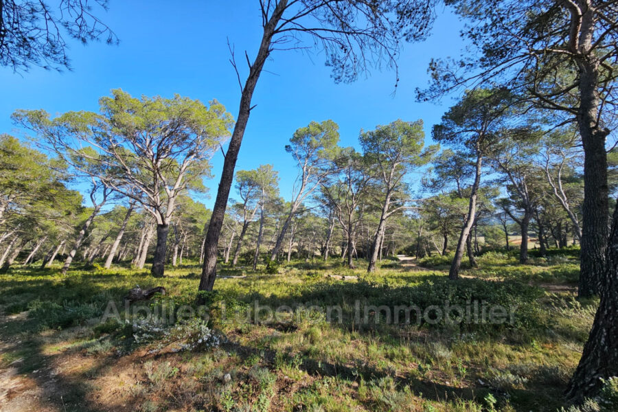 Terrain à vendre à Orgon