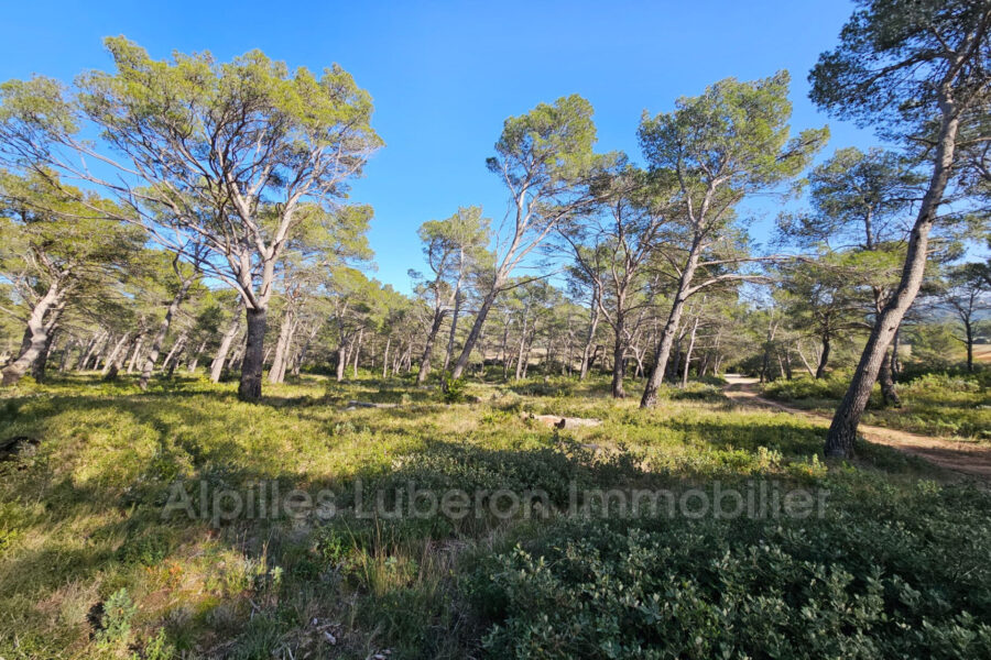 Terrain à vendre à Orgon