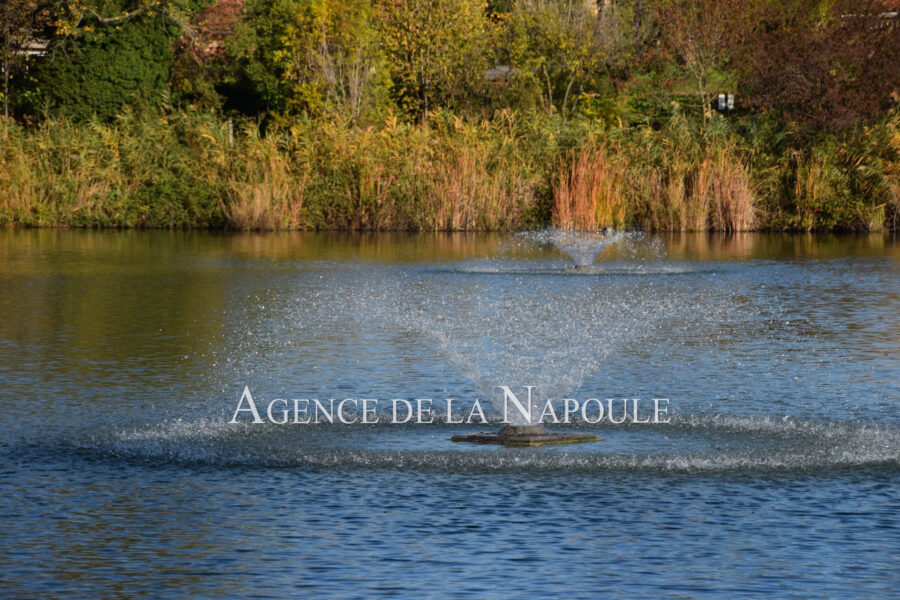 Appartement à vendre à Mandelieu-la-napoule