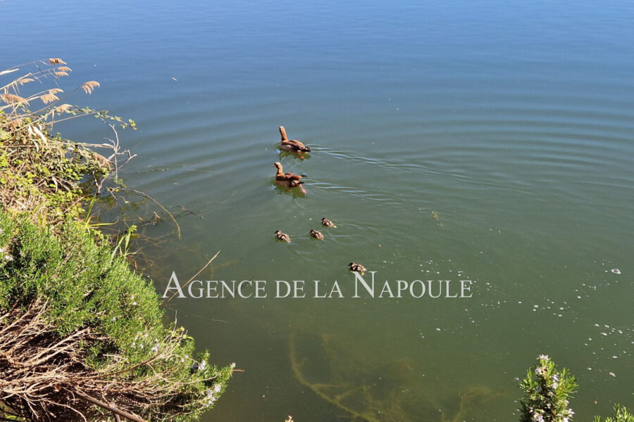 Appartement à vendre à Mandelieu-la-napoule