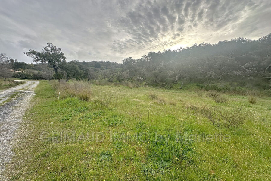 Terrain à vendre à Grimaud