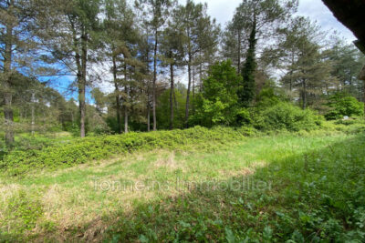 À vendre ? Grange en pierre de 500 m² à rénover avec terrain d – 1 pièce – NR chambres – 500.00 m²