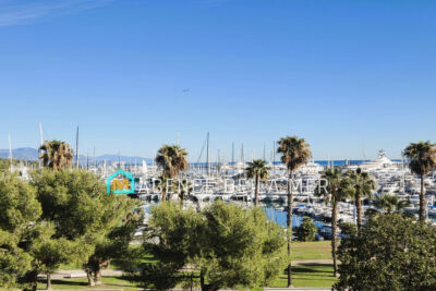 vente appartement 2 Pièce(s) – 2 pièces – 1 chambre – 91.00 m²