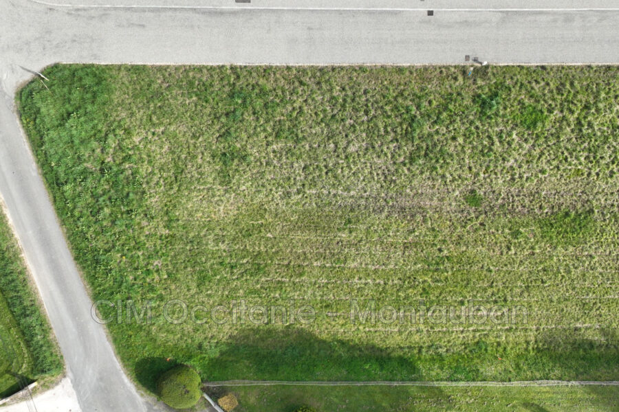 Terrain à vendre à Villebrumier