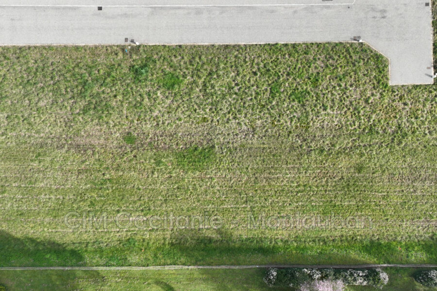 Terrain à vendre à Villebrumier