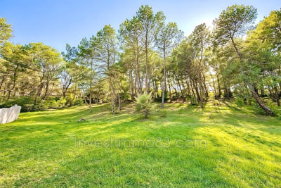 Dans un environnement calme et verdoyant et dans un quartier r – 5 pièces – 4 chambres – 250.00 m²