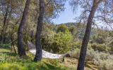 Maison à louer à Cavaillon — Vue nature — photo 7