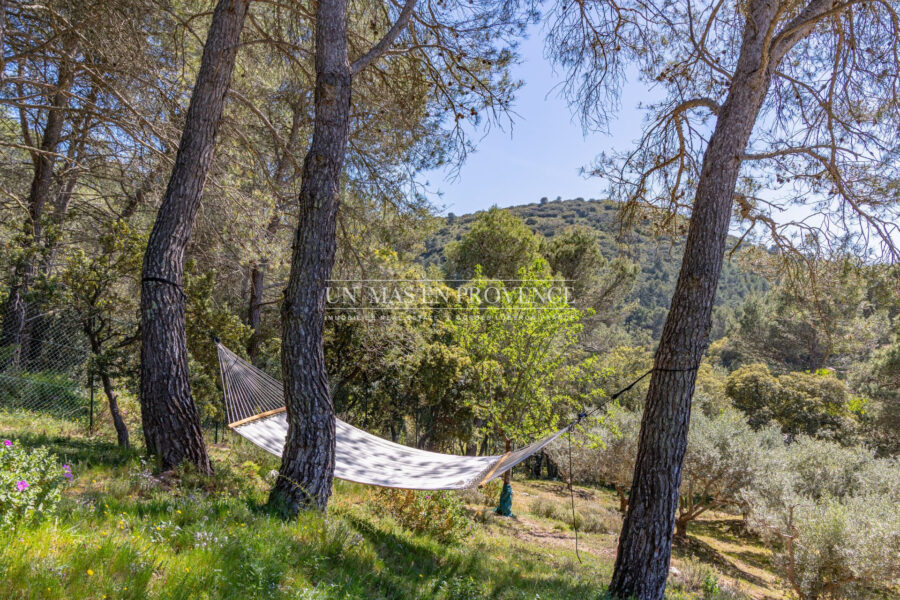 Maison à louer à Cavaillon — Vue nature — photo 7