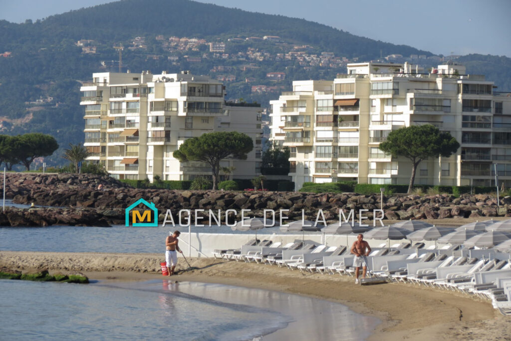 vente appartement 2 Pièce(s) – 2 pièces – 1 chambre – 53.42 m²