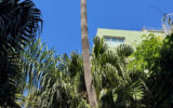 Appartement à vendre à Antibes