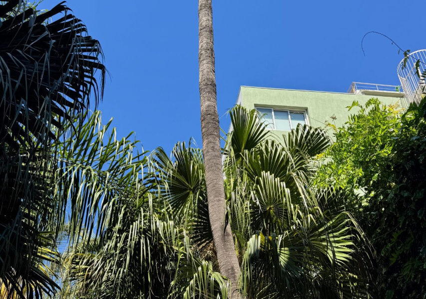 Appartement à vendre à Antibes