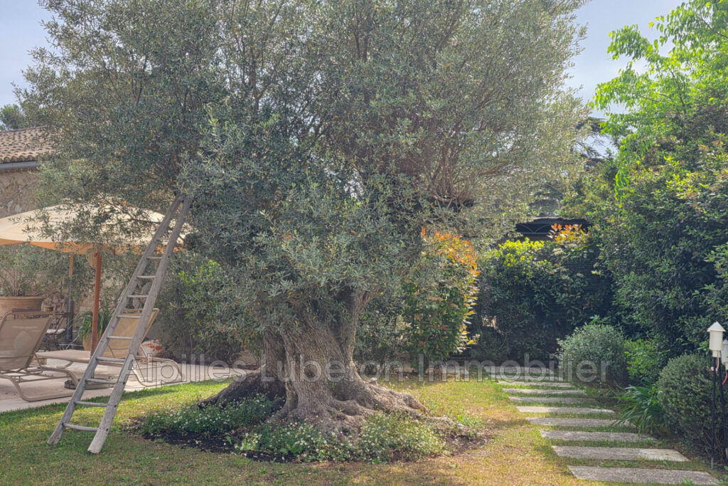 vente maison de village 4 Pièce(s) – 4 pièces – 3 chambres – 150.00 m²