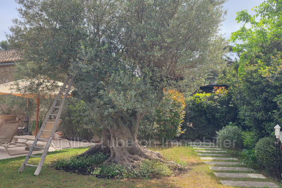 Maison à vendre à Eygalières