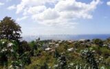 Terrain à vendre à Vieux habitants — Vue nature — photo 7