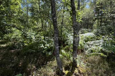 Terrain à vendre à Nancay