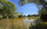Terrain à vendre à Martigne sur mayenne