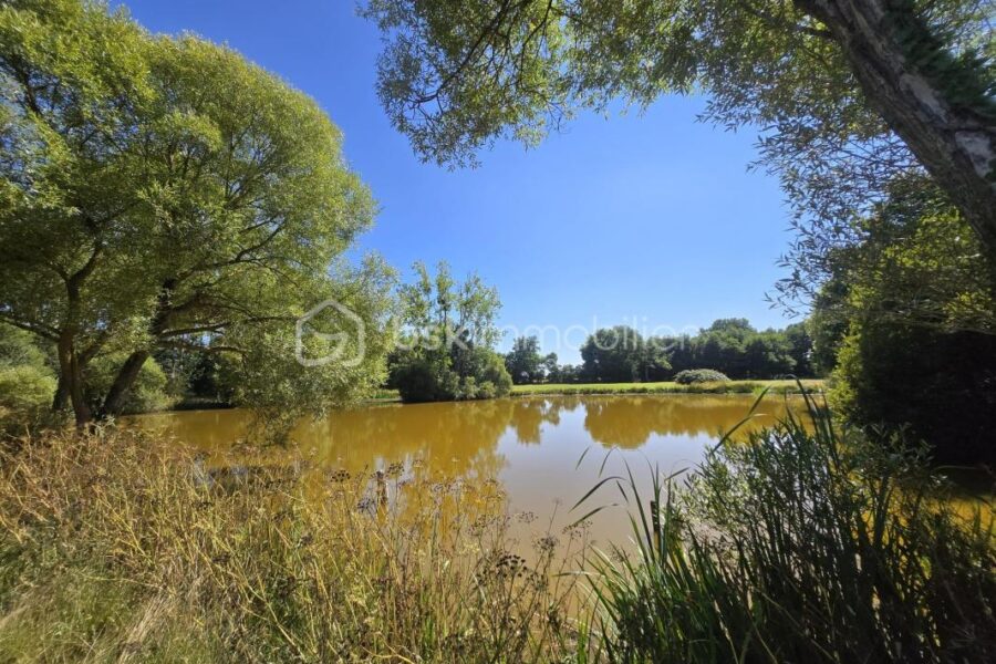 Terrain à vendre à Martigne sur mayenne