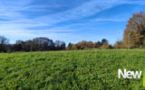 Terrain à vendre à Sadroc — Vue nature — photo 7