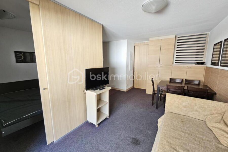 Appartement à vendre à La foux d allos