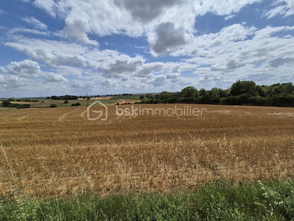 Terrain constructible vue Pyrénées – NR pièces – NR chambres – 5838 m²