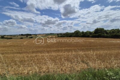 Terrain constructible vue Pyrénées – NR pièces – NR chambres – 5838 m²