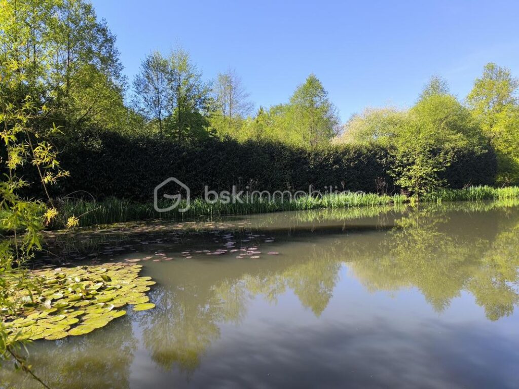 Coin idyllique : maison avec un étang – 3 pièces – 1 chambre – 50 m²