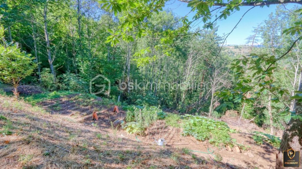 Ferme ardéchoise en pierres avec vue panoramique et châtaigneraie centenaire – 6 pièces – 4 chambres – 171 m²
