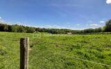 Terrain à vendre à Chaillac sur vienne