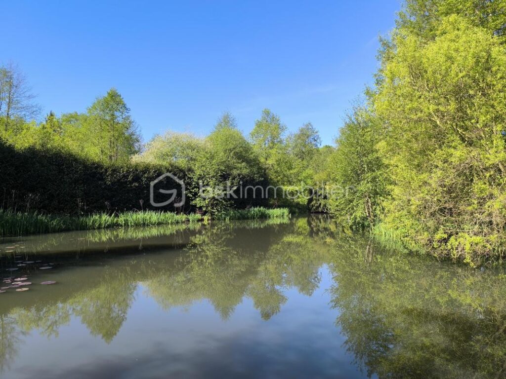 Coin idyllique : maison avec un étang – 3 pièces – 1 chambre – 50 m²